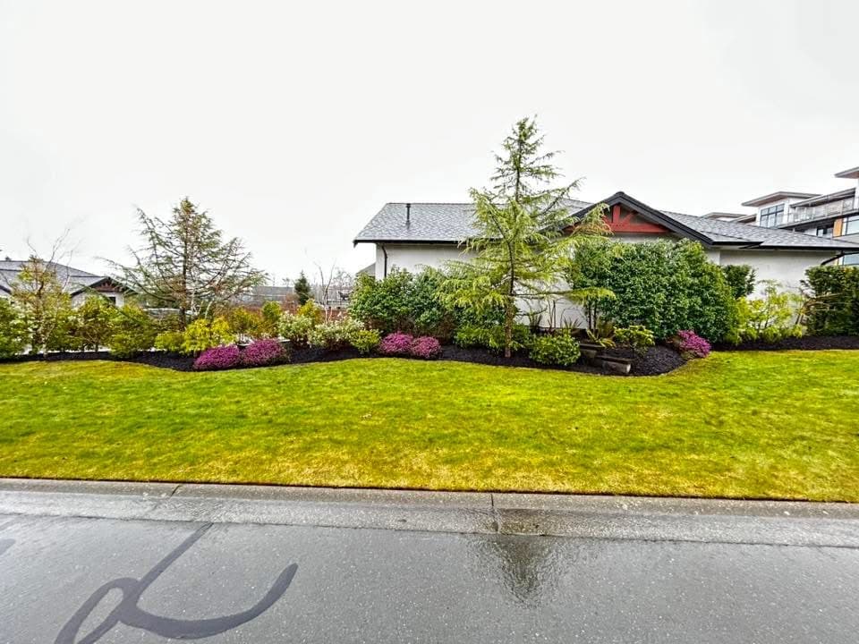 Front lawn with mature plantings, layered borders, and specimen evergreens