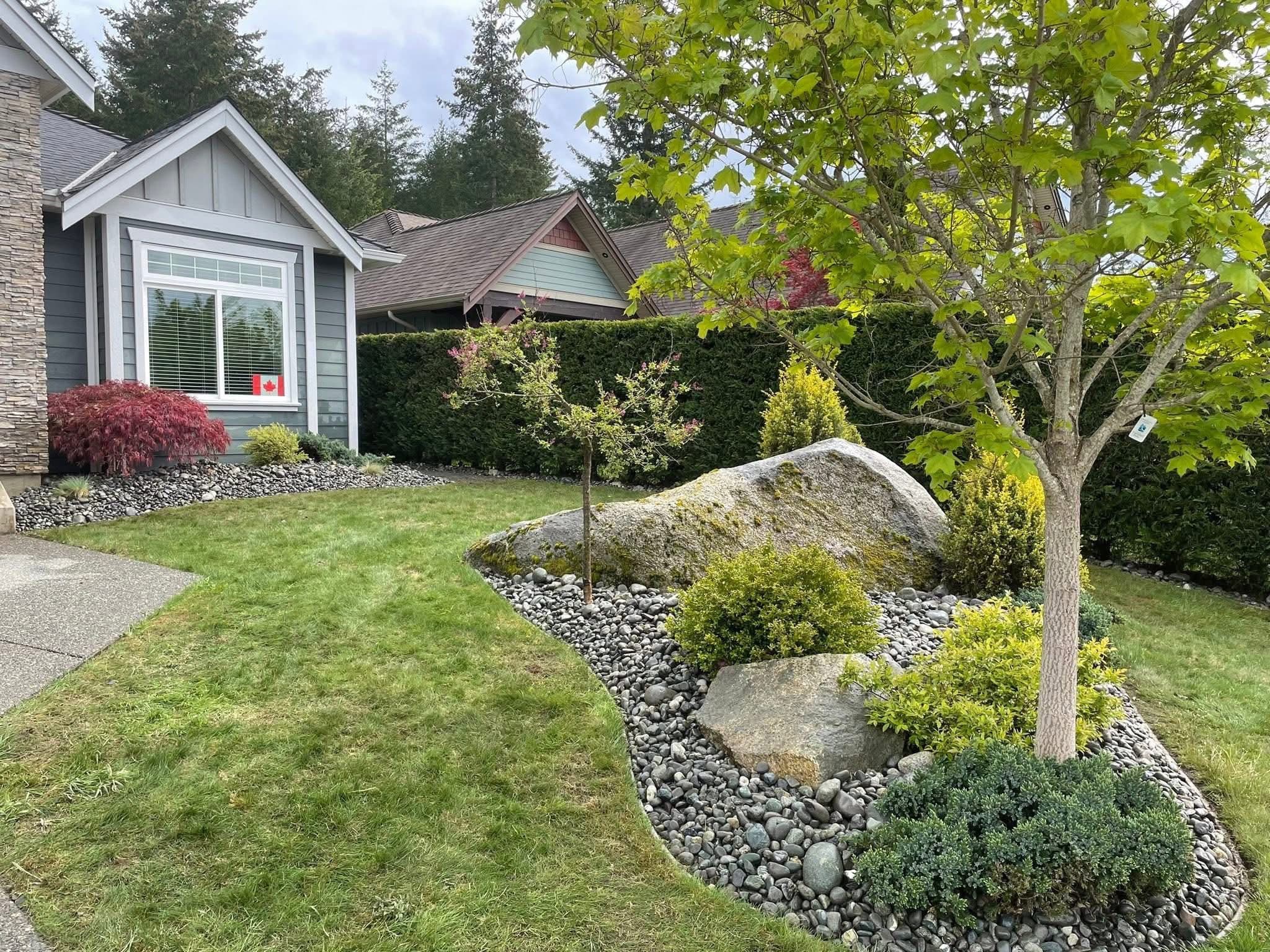 Front yard composition with shaped Japanese maple, anchor boulder, and river-rock border