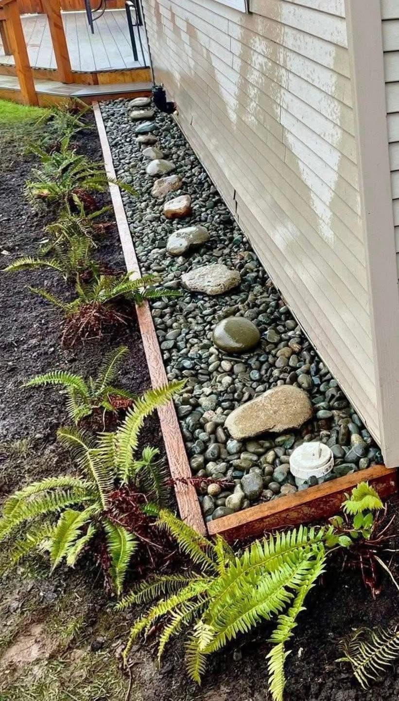 Garden corner with mossy boulder, chain accent, and sword ferns