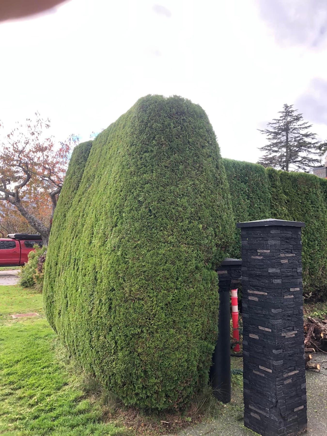 Sculpted juniper hedge end-cap with stone pillar gateway