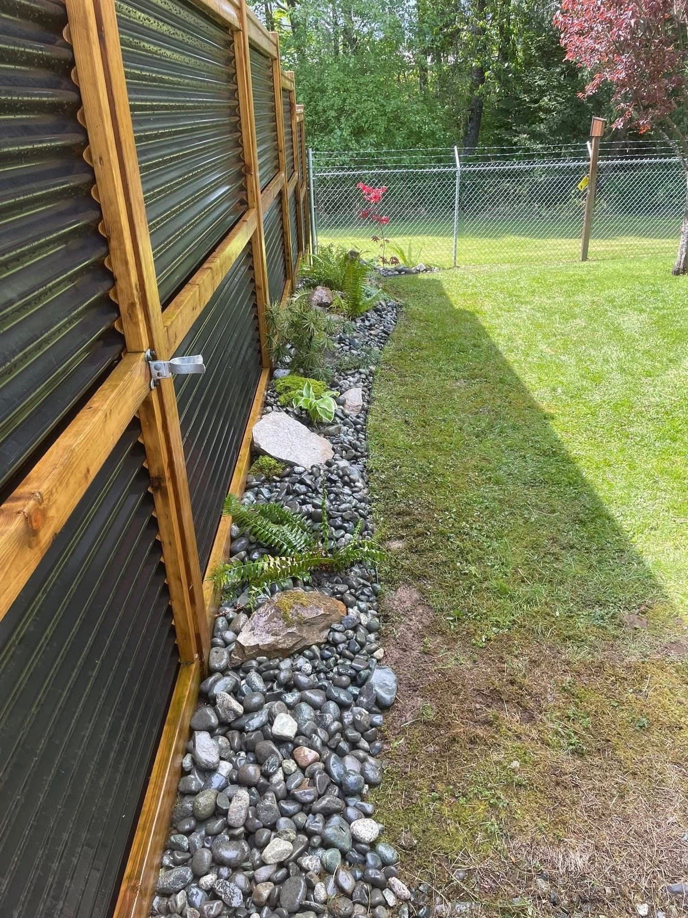 Corrugated-metal privacy fence with a thin river-rock border and ferns along the lawn