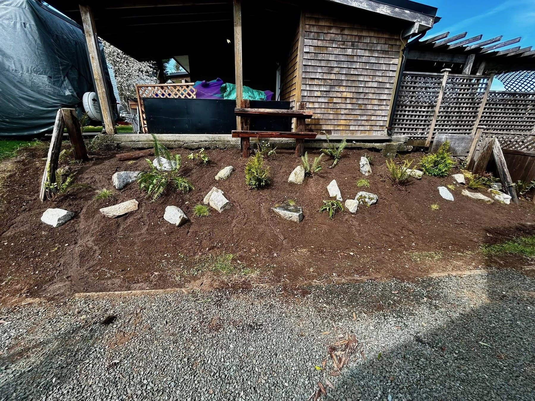 Newly graded slope with placed stones and starter plants near a cedar-shingled shed