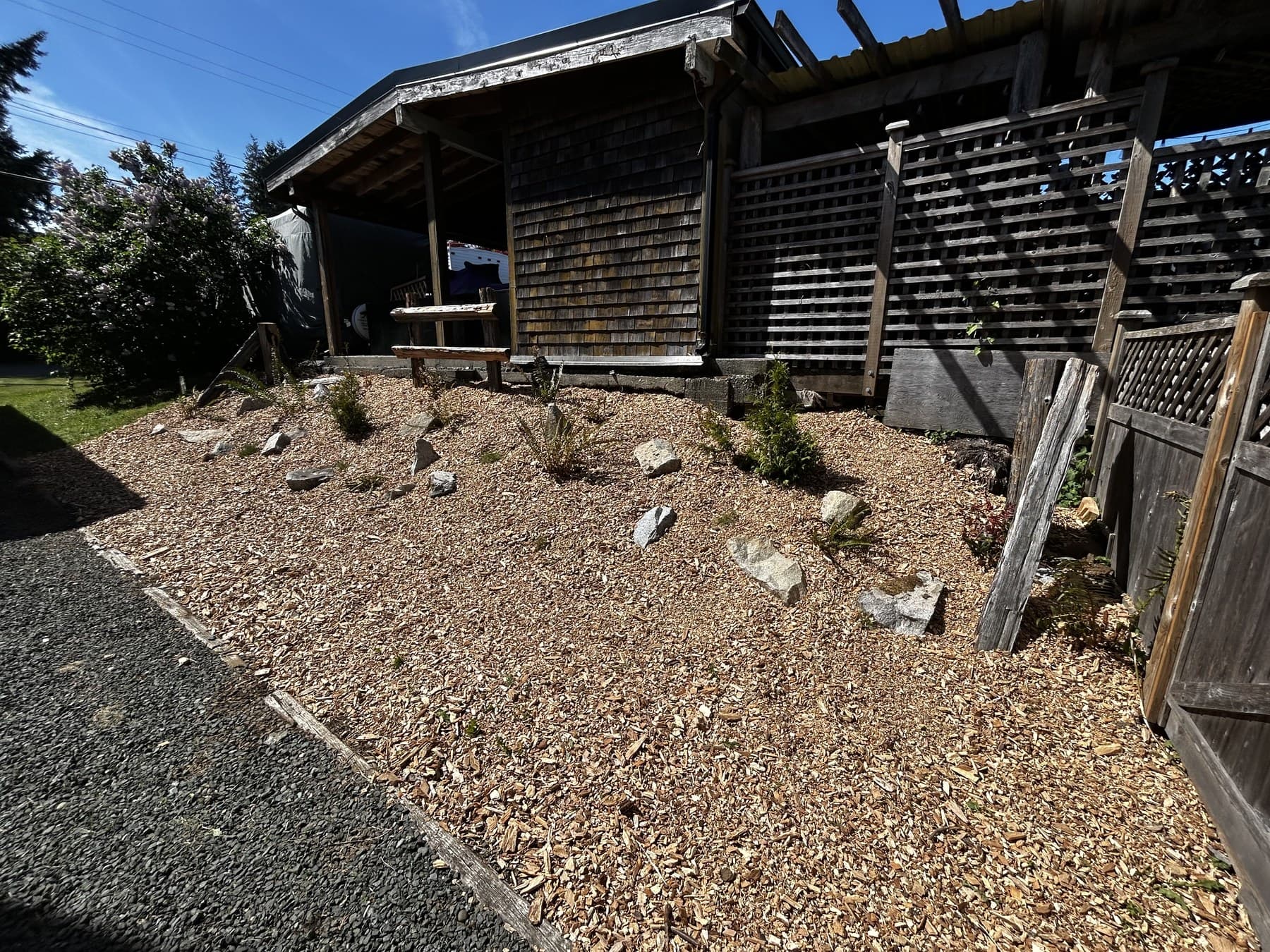 Gravel-covered slope with stones and starter shrubs against a cedar shed