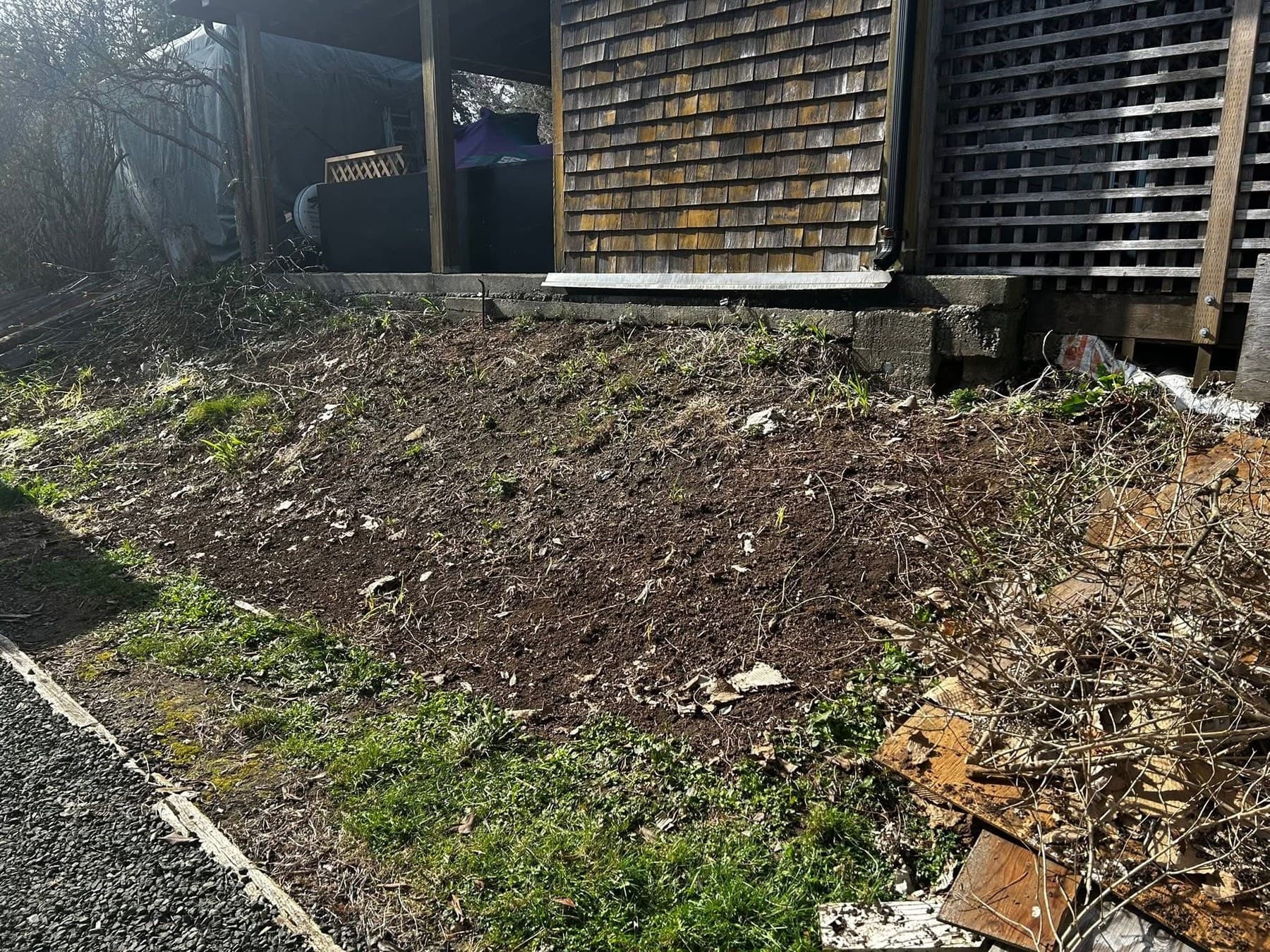 Bare-dirt slope before garden bed installation