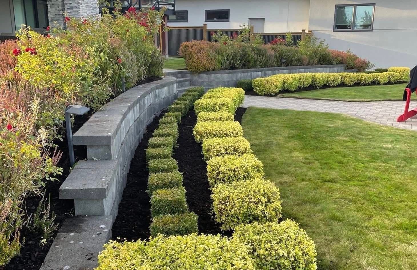 Curved boxwood mounding along a low retaining wall with red rose plantings on a polished commercial property